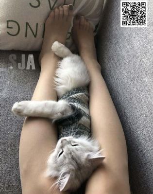 成人无码AV毛片久久毛片_BD韩语视频大全